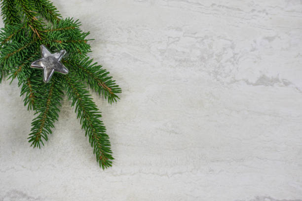 A single silver star Christmas ornament on a spruce bough in the upper left corner with copy space