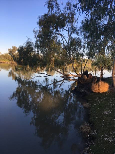 Murray river, South Australia stock photo