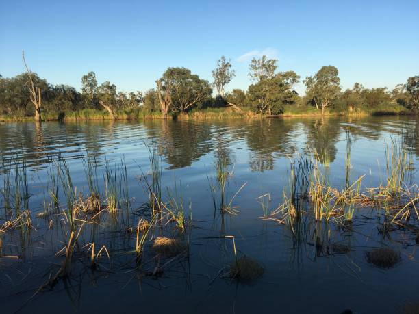 Murray river, South Australia stock photo