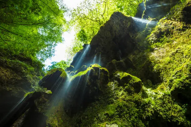 Photo of Small waterfall in the Valley of the Ferriere, Amalfi Coast