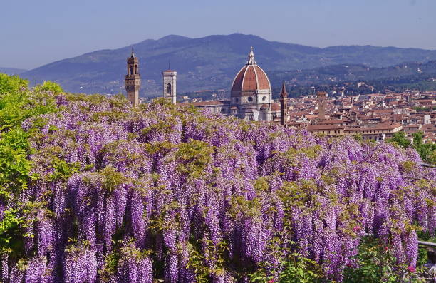 widok na florencję wiosną z ogrodu bardini - ornamental garden cathedral church formal garden zdjęcia i obrazy z banku zdjęć