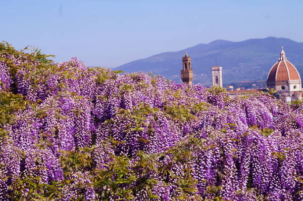 istock View of Florence in spring from Bardini garden 1006445442