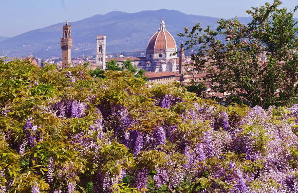 istock View of Florence in spring from Bardini garden 1006445782