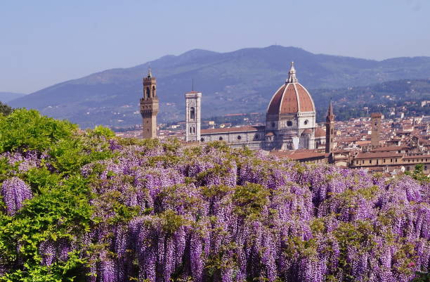 istock View of Florence in spring from Bardini garden 1006445800