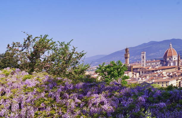 istock View of Florence in spring from Bardini garden 1006446334