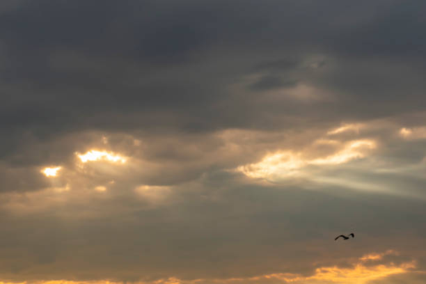 istock air movements at the sky in cloudy weather 1006456398