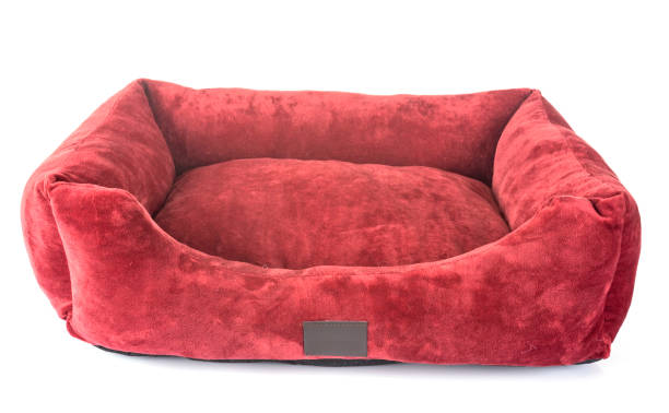 dog bed dog bed in front of white background dog bed stock pictures, royalty-free photos & images