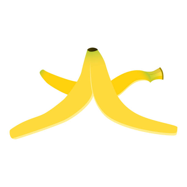 ilustrações, clipart, desenhos animados e ícones de casca de banana isolada no branco - banana peeled banana peel white background
