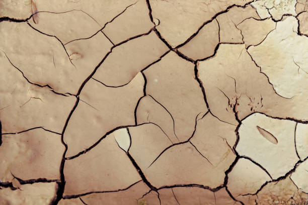 istock Cracked ground in drought. Soil texture and dry mud. 1006465956