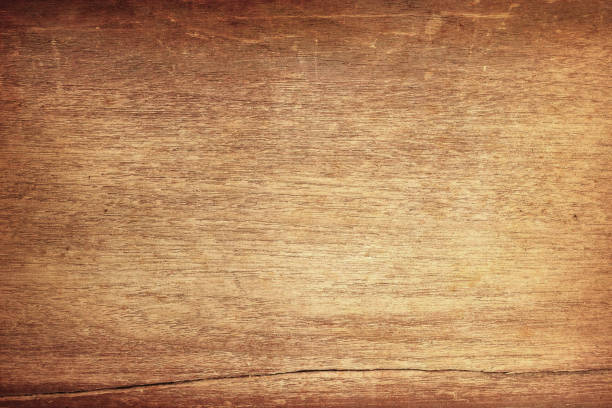 istock texture of bark wood use as natural background 1006466144