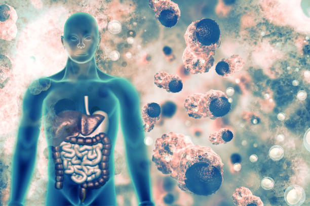 células cancerosas - sistema inmune humano fotografías e imágenes de stock