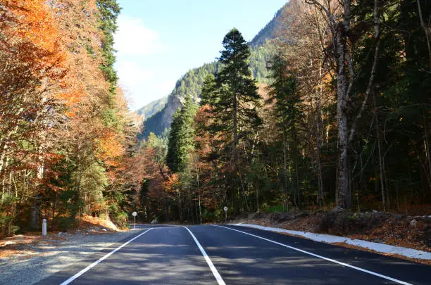 A deserted quiet road in the mountains. Beautiful autumn landscape.