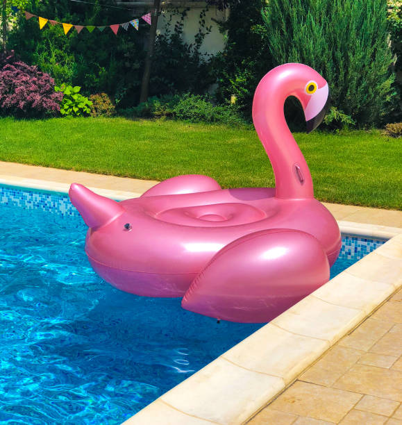 istock Pink inflatable flamingo in the pool 1006480686