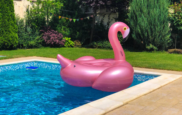 Pink inflatable flamingo in the pool