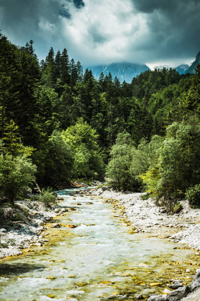 istock Clear water in Alpine river, Slovenia Triglav Park 1006481028