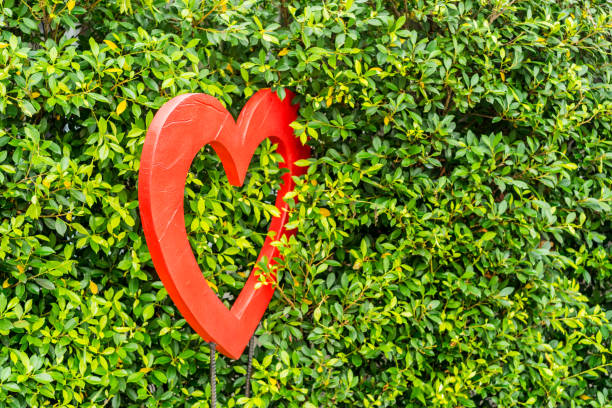 istock Red Heart shaped  in the bush of tree 1006481050