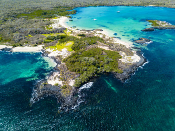 サン ・ クリストバル島、ガラパゴス、エクアドルでセロ魔術師ビーチ - galapagos islands ストックフォトと画像