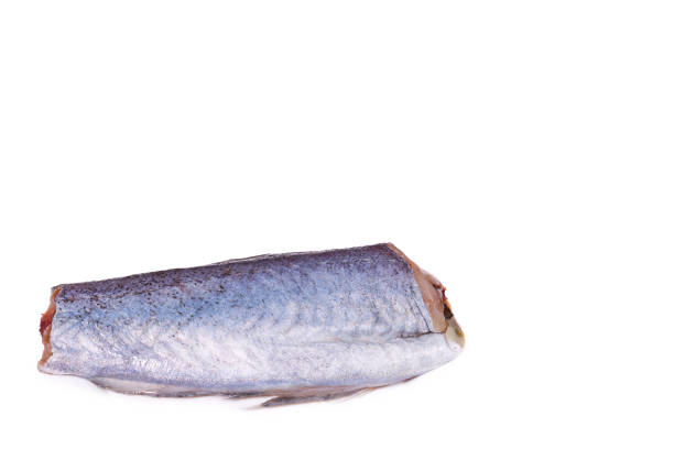 istock fish, body piece of blue hake. Isolated on white background, copy space 1006503056