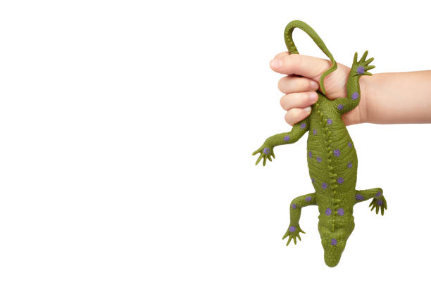istock Green rubber lizard toy with kid hand, isolated on white background. copy space template 1006503650