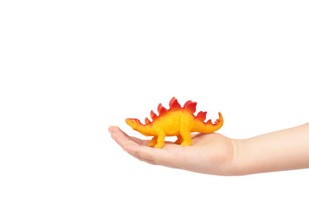 istock Prehistoric dinosaur rubber toy with kid hand, isolated on white background. copy space template 1006503690