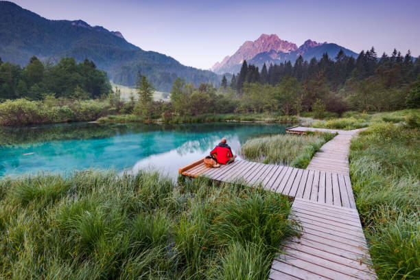 istock Active man and dog on camping at sunrise 1006507466