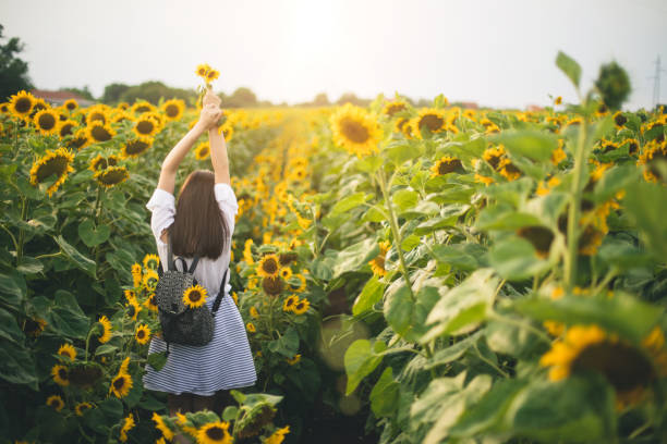 istock Woman enjoys in sunflower field 1006507486