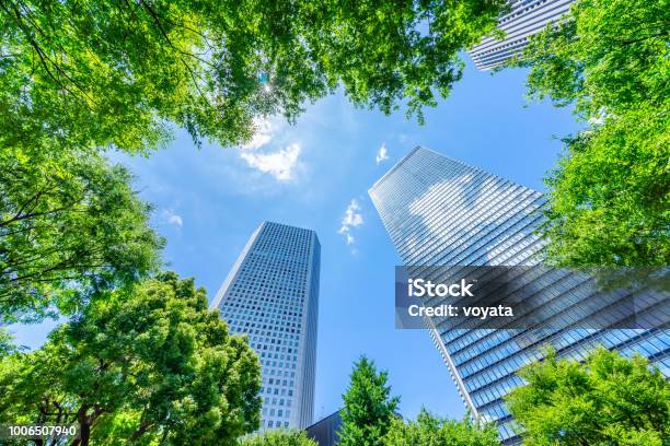 Looking Up View Of Panoramic Modern City Skyline With Blue Sky And Green Tree In Shinjuku Tokyo Japan Stock Photo - Download Image Now