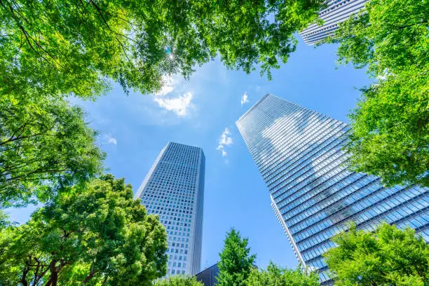 Photo of looking up view of panoramic modern city skyline with blue sky and green tree in shinjuku, tokyo, japan