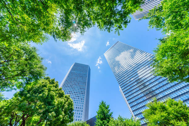 looking up view of panoramic modern city skyline with blue sky and green tree in shinjuku, tokyo, japan - from the bottom imagens e fotografias de stock