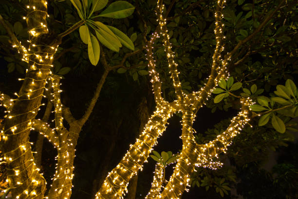 istock Blur - bokeh - Decorative outdoor string lights hanging on a tree in the garden at night time - decorative Christmas lights 1006512554