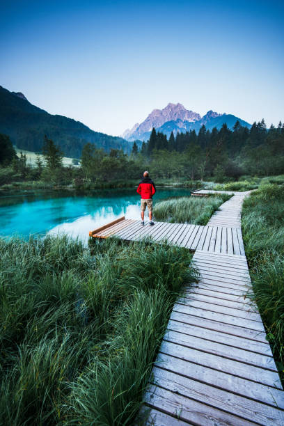 istock Man looking at view in Zelenci Park, Slovenia 1006515054