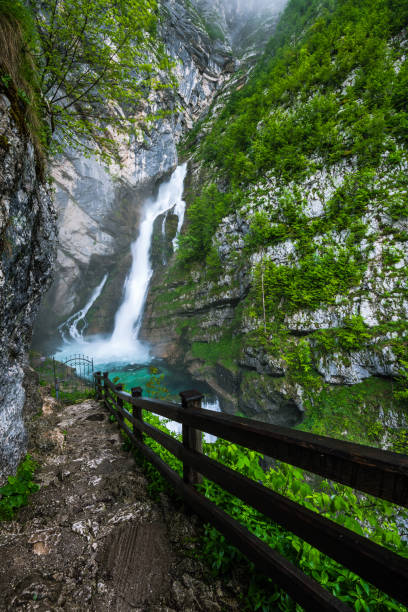 istock Waterfall Savica in Triglav Park, Slovenia 1006515400
