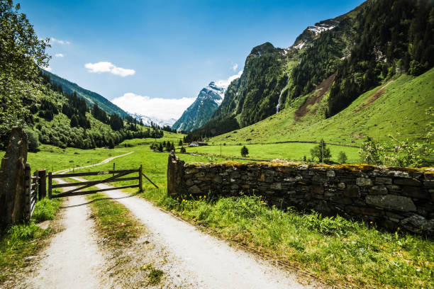 istock Rural road in Alpine valley,Austria 1006518174
