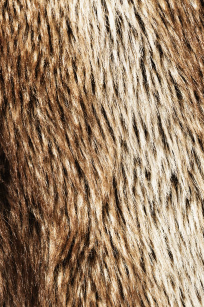 istock Textured fake fur for use as background 1006526006