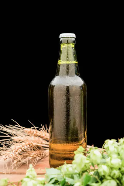 Photo of a bottle of beer with hops and wheat on a table