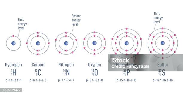 Structure Of An Atom Stock Illustration - Download Image Now - Atom, Hydrogen, Molecule