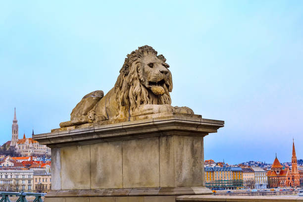istock lion statue at the Chain bridge, Budapest, Hungary 1006529464