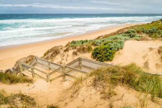 istock Woolamai beach in Phillip island nature park in Australia 1006534500