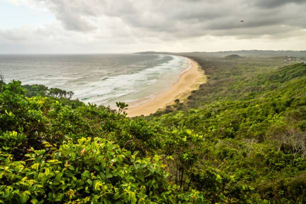istock Tallows Beach in Byron Bay in Australia on a cloudy day 1006538638
