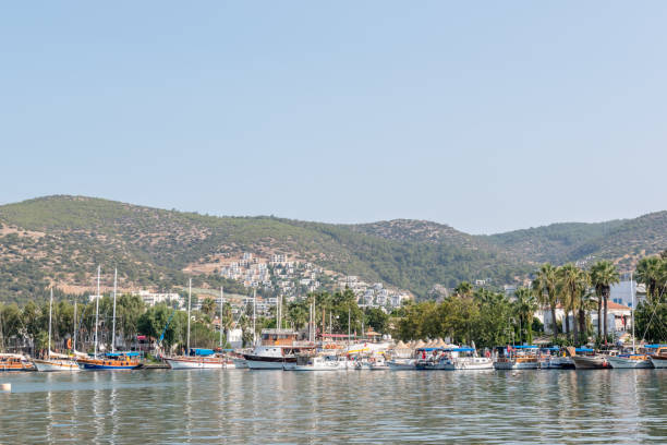 istock Marine with luxury yachts and sail yachts in Bodrum 1006541604
