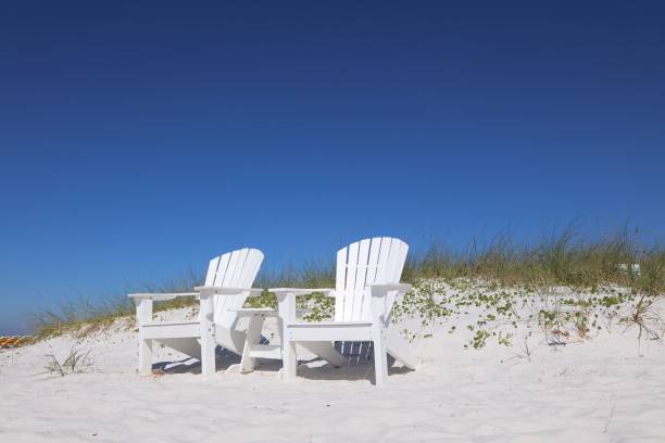 istock St. Petersburg, florida beach 1006541802