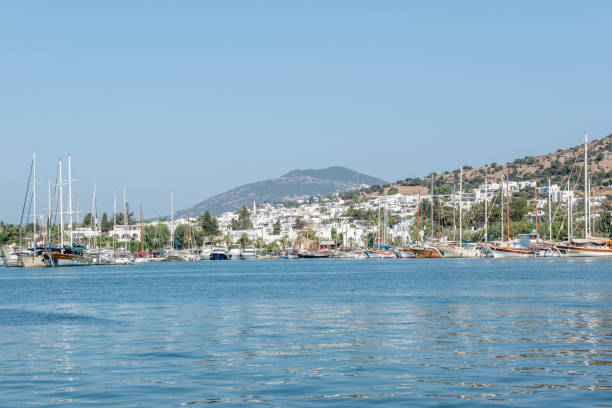 istock Marine with luxury yachts and sail yachts in Bodrum 1006542282