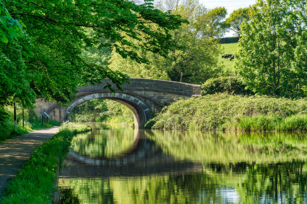 A bridge over the Lancaster canal near Lancaster. A scenic view of a bridge over the Lancaster canal, in North West England. lancaster lancashire stock pictures, royalty-free photos & images