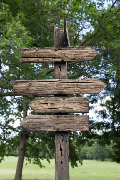 istock Wooden Arrows Direction Sign Post Against Nature Background 1006545920