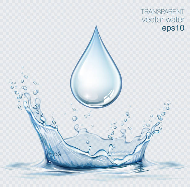 ilustraciones, imágenes clip art, dibujos animados e iconos de stock de agua y salpicaduras de agua vector transparente gota sobre fondo claro - waterdrop