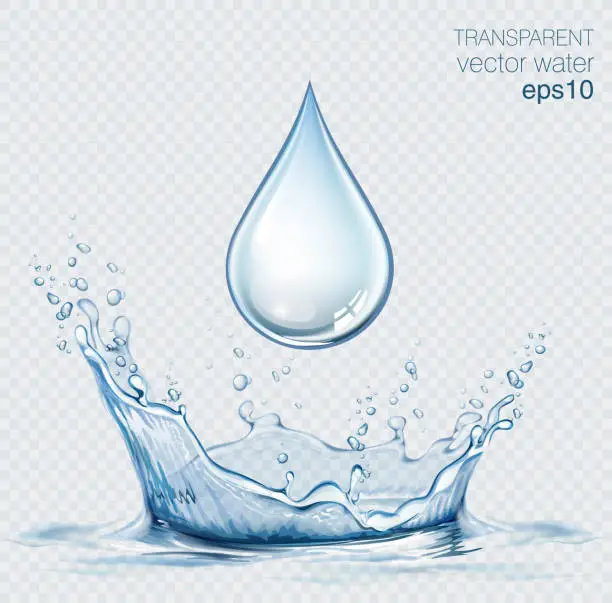 Vector illustration of Transparent vector water splash and water drop on light background