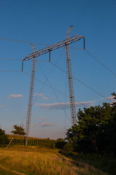 istock Transmission line - Electric Pylons 1006559244