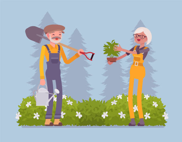 пожилые садовники работают - senior adult gardening freshness recreational pursuit stock illustrations