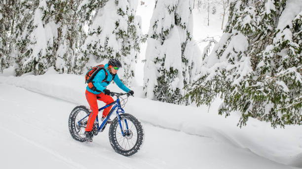 istock Woman fat biking on snowy trail through winter forest 1006562564