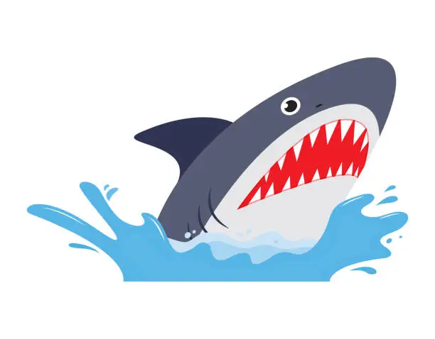 Vector illustration of Shark with open mouth and sharp teeth